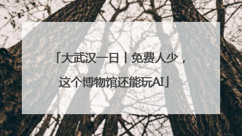 大武汉一日丨免费人少，这个博物馆还能玩AI